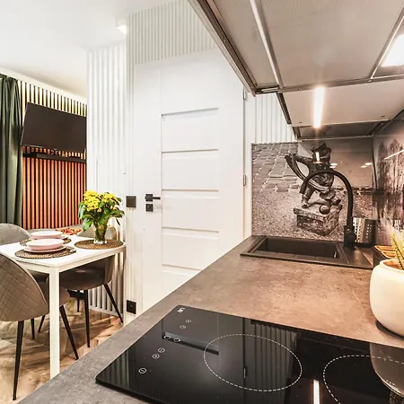 Luksusowe Przy Rynku فروتسواف